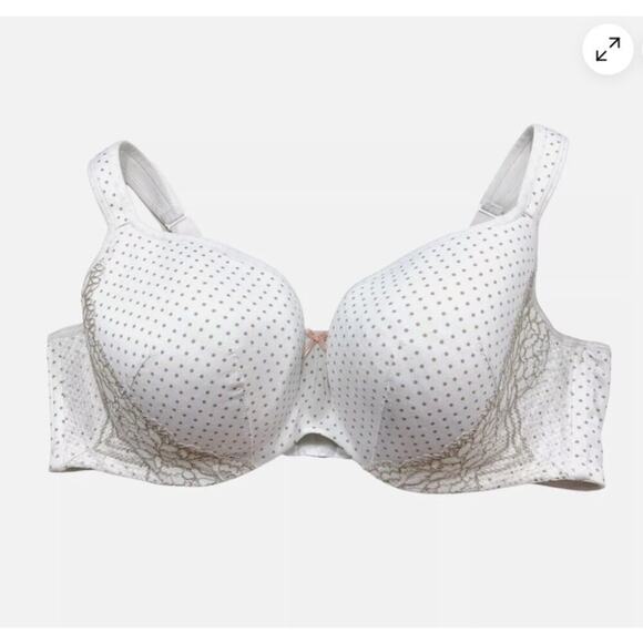 Cacique Polka Dot Lightly Lined T-shirt Bra (40DD) - Picture 1 of 9